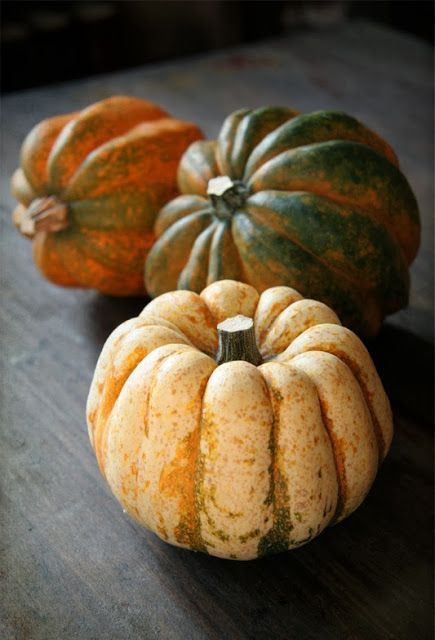 Gourd Photography, Thanksgiving Gourds, Vegetables Photography, I Am Crazy, Vegetable Pictures, Pumpkin Photos, Fall Fruits, Still Life Fruit, Fruit Photography