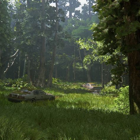 Post Apocalyptic Forest, Apocalypse Forest, The Last Of Us Landscape, The Last Of Us Scenery, Apocalypse Scenarios, Apocalyptic Scenery, Tlou Scenery, Tlou Aesthetic, Dystopian Romance