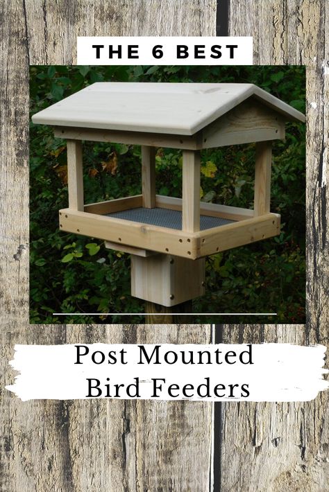 Top 6 bird feeders for mounting on your 4x4 post. Create your own beautiful feeding station with a post mounted feeder.    #birdfeeders #platformfeeders #diybirdfeeder Bird Feeder For Window, Diy Wood Bird Feeder Woodworking Plans, How To Build Bird Feeders, Diy Birdfeeders Wooden, Post Bird Feeder, Free Standing Bird Feeders Outdoor, Diy Standing Bird Feeder, Build Bird Feeder, Platform Bird Feeder With Roof