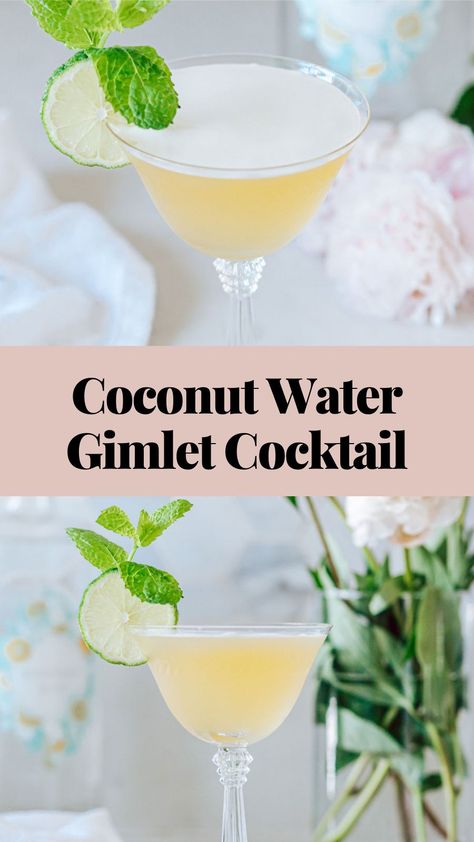 Coconut water is so refreshing and this cocktail is the perfect classy brunch gin beverage for hosting friends. Gin And Coconut Water, Coconut Water Cocktail Recipes, Coconut Water Cocktail, Classy Brunch, Gimlet Recipe, Gimlet Cocktail, Drinks Ideas, Hosting Friends, Busy Kitchen