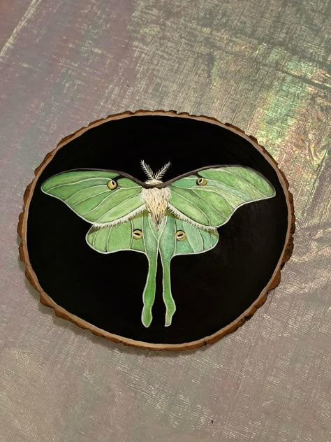 Lunar Moth Painting, Luna Moth Painting Acrylic, Moth Painting Acrylic, Lunar Moth Art, Luna Moth Painting, Witchy Painting Ideas, Botanical Crafts, Puriri Moth, Witchy Painting