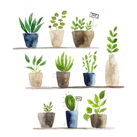 Plants Painting, Watercolor Succulents, Watercolour Inspiration, Diy Watercolor Painting, Watercolor Projects, Watercolor Plants, Watercolor Paintings Easy, Cactus Art, Watercolor Flower Art