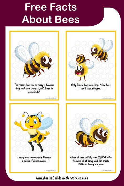 Bees Fact Posters have interesting facts about bees. These are great to use during group discussions on bees and to share with children. Bee Facts For Preschoolers, Childcare Experiences, Bee Library, Bee Facts For Kids, Facts About Bees, Fun Facts About Bees, Butterfly Lifecycle, Bees For Kids, Honey Bee Facts