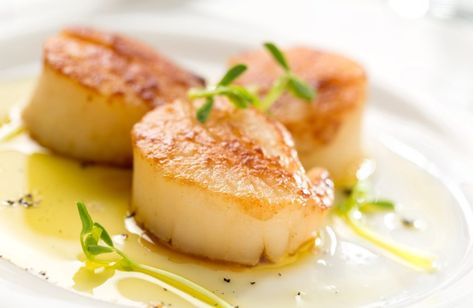 Early Summer Recipes: Seared Scallops - Baltimore Style Cilantro Butter, Geoffrey Zakarian, Seared Scallops, Coquille Saint Jacques, Honey Sauce, Scallop Recipes, Summer Dishes, Scallops Seared, Saint Jacques