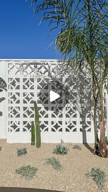 Chantelle Barresi on Instagram: "A part of my home you have all been waiting for.. the backyard space! 🌵  In this particular area of my backyard I decided to head into my local @bunnings store to grab all the materials I needed to create a breeze block screen wall to fill this empty space!  For the past four years, our backyard has been nothing but a muddy mess. We decided it was time to show it some much-needed attention! By adding a breeze block screen wall it has brought our Mediterranean theme from indoors to outdoors.  This project is such an easy cost-effective way and can add a unique touch to your backyard, whether you’re looking to fill empty space or create some privacy!   Products used-  •Brighton Masonry Breeze Blocks •Besser Blocks  •Sand and Cement bags  •Brick Trowel •Brick Breeze Block Design, Privacy Walls Outdoor, Breeze Blocks Wall, Breeze Block Patio Wall, Breeze Block Wall Privacy Screens, Breeze Blocks Ideas, White Breeze Block Wall, Patio Privacy Wall, Painted Breeze Block Wall Garden