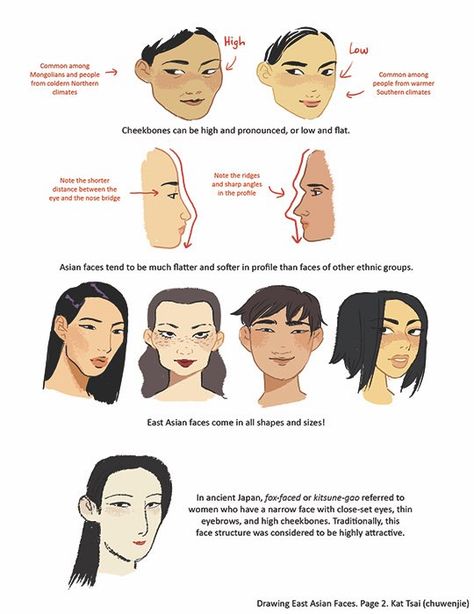 Face shape and ethnicity. Cheek bones. Profile Asian Faces, Art Advice, Asian Eyes, Face Reference, Anatomy Reference, Facial Expressions, Digital Art Tutorial, Drawing Reference Poses, Art Tips