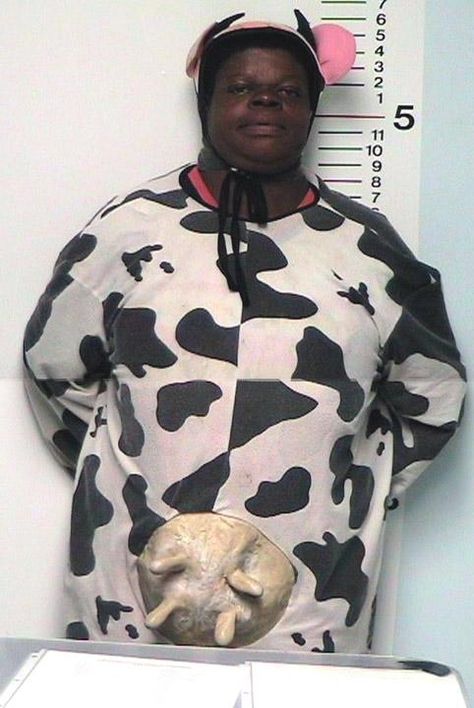 Michelle Allen of Middletown, Ohio. In 2008, she was taken into custody for disorderly conduct that included chasing children, urinating on a neighbor's front porch, and causing traffic problems -- all while wearing a cow costume. Funny Mugshots, Cow Costume, Bad Picture, Crazy People, Mug Shots, Funny Mugs, Bones Funny, Thing 1 Thing 2, Make Me Smile