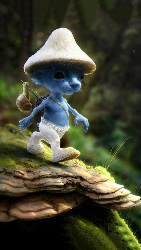 Smurf Cat Wallpaper Blue Smurf, Cat Mushroom, Whatsapp Wallpapers Hd, Mushroom Wallpaper, The Spectre, Walpaper Hello Kitty, Character Wallpaper, Cute Wild Animals, Blue Cats