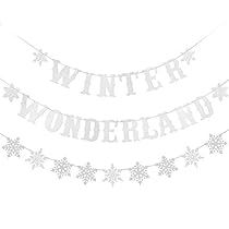 Winter Wonderland 1st Birthday, Winter Wonderland-party, Snowflake Banner, Winter Baby Shower Decorations, Wonderland Party Decorations, Christmas Snowflakes Decorations, Snowflake Party, Winter Holiday Party, Winter Wonderland Decorations