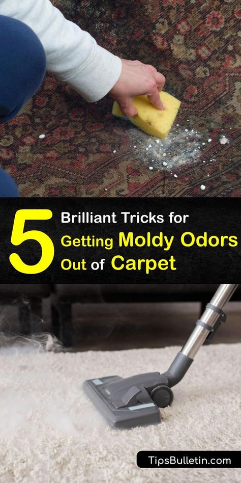 Smelly Carpet, Spot Cleaning Carpet, Mold Smell, Bissell Carpet Cleaner, Carpet Smell, Remove Mold, Carpet Deodorizer, Mold Spores, Black Mold