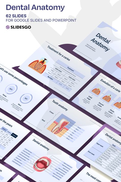 Dental Anatomy Anatomy Presentation, Teeth Anatomy, Gradient Illustration, Learning Template, Dental Anatomy, Canine Tooth, Waves Abstract, Great Presentations, Medical Health