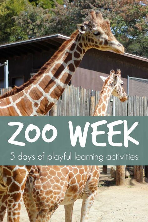 Tiger Craft, Zoo Lessons, Zoo Animal Activities, Preschool Zoo Theme, Zoo Preschool, Zoo Crafts, Learning Activities For Kids, Zoo Activities, Boo Board