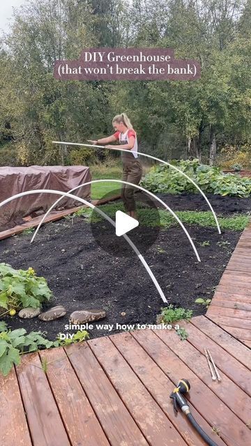 Anja 🌱 Gardening, Meals, Homestead on Instagram: "How do you keep your plants warm and snuggly?? #greenhouse #diy #buildagreenhouse #diyhomeprojects #garden #gardentok" Garden Greenhouse Diy, Diy Greenhouse Ideas Cheap Simple, Cheap Greenhouse Ideas Diy, Cheap Greenhouse Diy, Diy Green House Over Raised Bed, Easy Diy Greenhouse, Greenhouse Garden, Small Greenhouse Diy, Diy Greenhouse Cover For Raised Bed