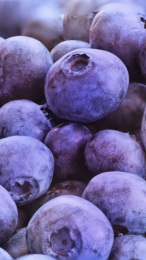 Fresh, blueberries, fruits, close up, 720x1280 wallpaper Fruit Close Up, Foto Macro, Purple Fruit, Purple Food, Purple Vibe, Lavender Aesthetic, Fruit Wallpaper, Fruit Photography, Food Wallpaper