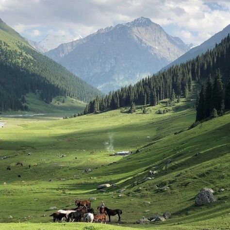 Mountain Aesthetic, Mountains Aesthetic, Green Scenery, Wallpaper Hp, Cottage Aesthetic, Cottagecore Cottage, Chinese Landscape, Alam Yang Indah, Nature Aesthetic