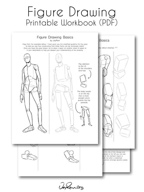 How to Draw the Torso: Step by Step Tutorial + Free Practice Worksheet (Printable) — JeyRam Art Bodybuilding Videos, Figure Drawing Tutorial, Drawing Tutorial Face, Drawing Tutorials For Beginners, Anatomy Tutorial, Human Figures, Body Drawing Tutorial, Human Figure Drawing, Drawing For Beginners