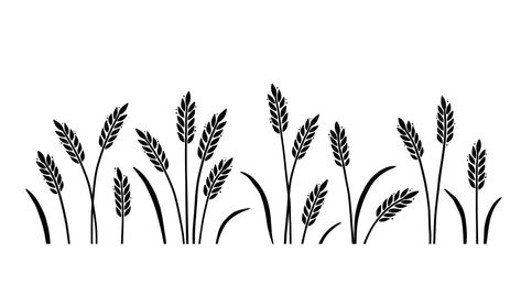 Barley Plant, Barley Field, Grass Silhouette, Banner Doodle, Field Background, Plant Sketches, Types Of Beans, Text Template, Sunset Background