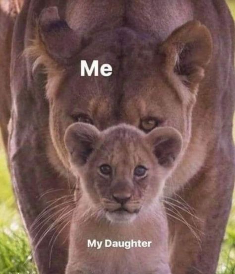 Lioness Quotes, Lioness And Cubs, Bear Quote, My Children Quotes, Mothers Love Quotes, Mommy Quotes, King Quotes, Momma Bear, Mom Life Quotes