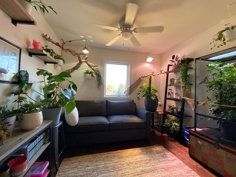 Reptile Setup, Snake Room, Chameleon Enclosure, Snake Terrarium, Pet Room, Fish Tank Themes, Studio Apartment Living, Pet Things, Terrarium Ideas