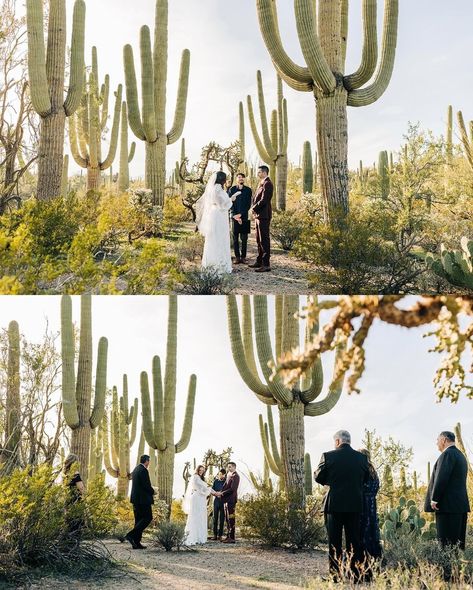 More from Jo & Billy’s wedding cause why not?! ⠀⠀⠀⠀⠀⠀⠀⠀⠀ Saguaro National Park is such an underrated park. Especially for the desert lovers out there, who can’t help but stop at every cactus on the trail and look straight up at these ancient saguaros. ⠀⠀⠀⠀⠀⠀⠀⠀⠀ Want your own desert elopement? Good news—there’s still time to plan a fall and winter wedding. ⠀⠀⠀⠀⠀⠀⠀⠀⠀ Reach out and let’s get started on your Tucson wedding! 🌵 @saguaronationalpark 👗 @allwhowander 💄 @atmakeupcollective 💐 @roma... Cactus Joes Wedding, Prickly Pear Cactus Wedding, Saguaro Wedding, Wedding Cactus, Cars Wedding, Desert Ranch, Cactus Wedding Invitations, Superstition Mountains Arizona Wedding, Tucson Wedding