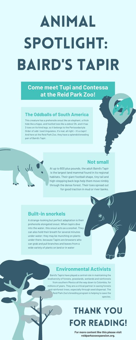 Zoo Infographic, Zoo Education, Zoo Signage, Thank A Farmer, Animal Infographic, Planet Zoo Inspiration, Zoo Inspiration, Zoo Ideas, River Bank