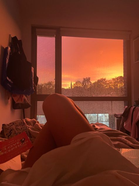 #sunset #roomdecoration #room #calm #books #lovedeception #sunsetphotography #inspopic #atardecer #habitación #residencia #university Sunset Aesthetic Room, Calm Bedroom Aesthetic, Desired House, Bedroom Sunset, Sunset Bedroom, Sunset Room, University Inspiration, Theodore Roethke, Royal Bedroom