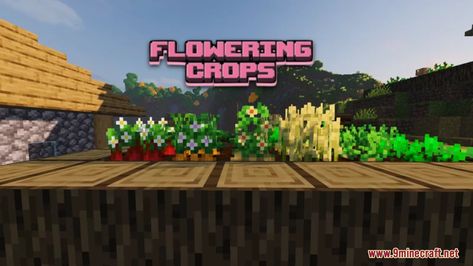 Crops Minecraft, Minecraft Textures, Minecraft Modpacks, Cute Minecraft Houses, Minecraft Games, Minecraft Stuff, Minecraft Projects, Minecraft Ideas, Minecraft Mods