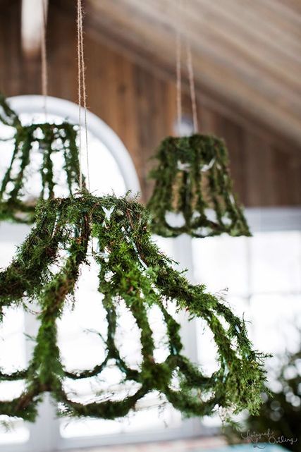 Attach loose moss to lampshade structure with adhesive spray. Can also do this to a decorative bird cage or wire terrarium or wire orbs to hang, etc. Moss Fairy House, Kattokruunu Diy, Enchanted Forest Decor, Used Wedding Decor, Enchanted Forest Decorations, Moss Wedding, Woodland Whimsy, Lights Hanging, Moss Covered