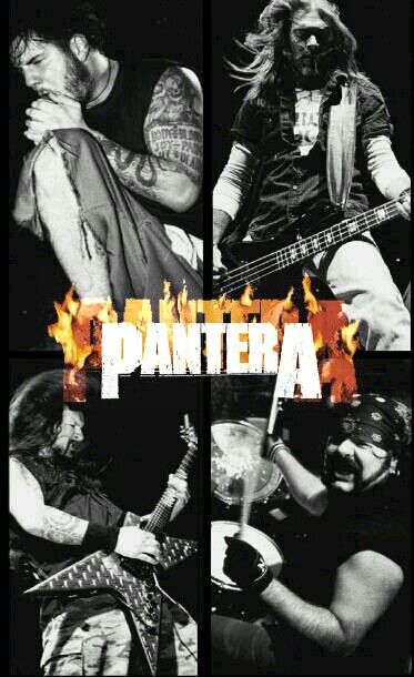 PANTERA Pantera Wallpaper Band, Pantera Aesthetic, Pantera Wallpaper, Rock Bands Photography, Pantera Band, Vinnie Paul, Phil Anselmo, Rock Poster Art, Dimebag Darrell