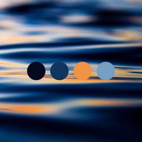 Indigo Complimentary Color, Blue Orange Black White Color Palette, Marine Blue Color Palette, Blue Orange Colour Palette, Royal Blue Contrast Colors, Blue And Orange Colour Palette, Dark Blue And Orange Aesthetic, Dark Blue Colour Palette, Contrast Colour Palette