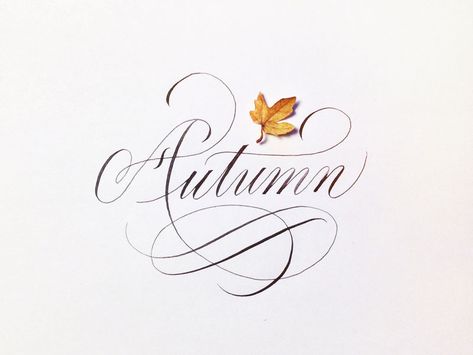 Dribbble - Autumn by Joan Quirós Copperplate Calligraphy, Calligraphy Letters, Autumn Beauty, It's Fall, Hello Autumn, Happy Fall, Autumn Inspiration, Autumn Home, Fall Thanksgiving