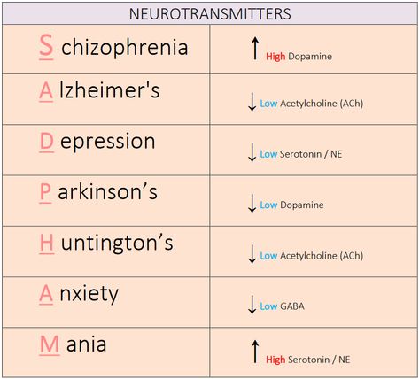 Types Of Neurotransmitters, Neuroscience And Psychology, Neurotransmitters Notes, Abnormal Psych Notes, Biological Psychology Notes, Neuroscience Books To Read, Eppp Study Guide, Neurotransmitters And Mental Health, Neuropsychologist Aesthetic