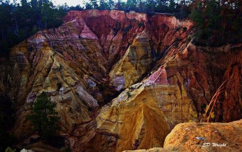 One of the state’s best kept secrets, Red Bluff (a.k.a. the Little Grand Canyon) is an amazing sight. Mississippi Blues, Mississippi Travel, Sky Lake, Learn Computer, Natchez Trace, Red Bluff, Bald Cypress, Computer Coding, Deep South