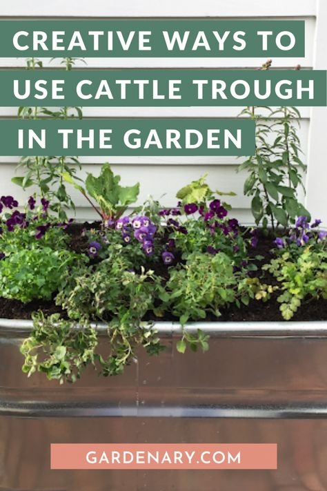 Creative Ways to Use Cattle Troughs in the Garden • Gardenary Cow Trough, Cattle Water Trough, Extra Large Outdoor Planters, Cattle Trough, Metal Trough Planter, Plant Troughs, Tomato Planter, Garden Troughs, Keyhole Garden