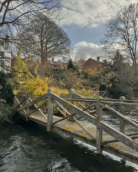 🍂🦆 . . . . . #uk #winchester #winchesteruk #autumnmood #autumnvibes #autumnaesthetic #fallaesthetic #fallmood #fallvibes #travelengland #traveluk #uktravel #englandtravel #visitengland #traveldiaries #unidiaries #daytrip #historichomes #citypark #cityphotography #cityvibes #citystreets #citypark #autumncolors #autumnphotography #autumndays #autumntime #autumnleaves #autumngarden #autumnseason #fallseason Winchester Uk, Visiting England, City Photography, England Travel, Autumn Aesthetic, Autumn Garden, Uk Travel, Autumn Photography, City Streets