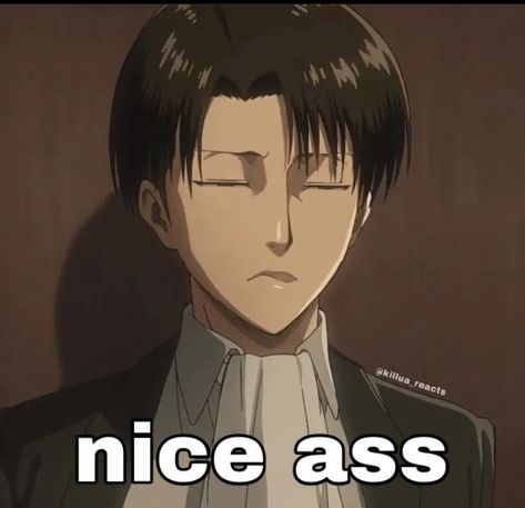 Anime Reaction, Reaction Pic, Attack On Titan, Instagram A, The Way, Bra, Anime