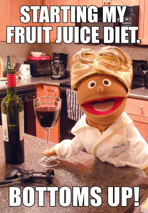 Starting my fruit juice diet. Bottoms up! Wine Mom Funny Comedy MEME Marianne Hawthorne MEME www.facebook.com/mariannehawthornepuppet Wine Meme, Fruit Diet, Fast Life, Juice Diet, Wine Quotes, Diet Vegetarian, A Glass Of Wine, Wine Humor, Humor Memes