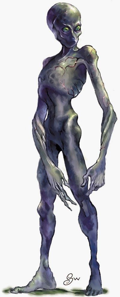 Lost Mines Of Phandelver, Humanoid Creatures, D D Monsters, Fantasy Role Playing, Forgotten Realms, Dnd Monsters, Dnd Art, Fantasy Monster, Monster Design