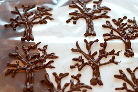 Chocolate Tree’s