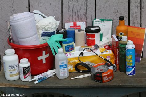 Barn Emergency Kit Essentials – Horse Illustrated Horse Medical Kit, Equine Medical Kit, Horse Emergency Kit, Horse Trailer Essentials, Horse First Aid Kit Checklist, Wagon Makeover, Horse First Aid Kit, Emergency Kit Essentials, Barn Organization Ideas