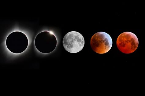 Eclipse Lunar, Space News, Health Business, Lunar Eclipse, Super Moon, Sustainable Travel, Space Science, Tv On The Radio, Full Moon