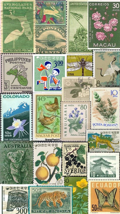 Stamps Aesthetic, Really Cool Wallpapers, Postage Stamp Design, Nature Collage, Future Wallpaper, Vibes Wallpaper, Green Sticker, Nature Stickers, Wallpaper Nature