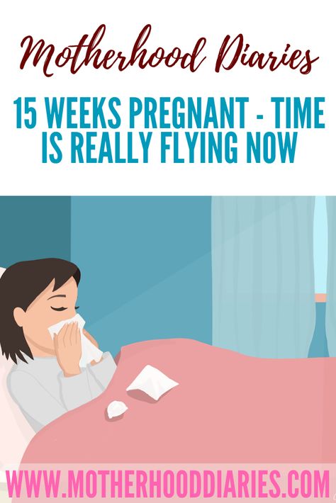 15 weeks pregnant - Time is really flying now https://www.motherhooddiaries.com/15-weeks-pregnant-time-flying-now/ 15 Weeks Pregnant Facts, 9 Weeks Pregnant, 15 Weeks Pregnant, Tired And Sleepy, Theory Test, Feeling Sleepy, Clean Diet, Stuffy Nose, Weeks Pregnant