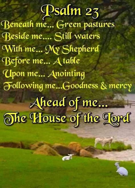 Friends Who Like The Lutheran Church—Missouri Synod | I saw a beautiful poetic version of the 23rd Psalm years ago | Facebook 23 Psalm, The 23rd Psalm, 23rd Psalm, Trust God Quotes, Psalms 23, Good Morning Spiritual Quotes, Clean Jokes, Bible Study Verses, Green Pasture