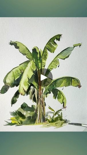 8.9K views · 132 reactions | Banana tree drawing very easy with watercolor #reelsfbviral #reelsvideo #reelsfacebook #artclass #reels #artist #artwork #art #drawing #treeart #banana | Kaizar Art | Mazharul Islam · ALLAHU ALLAH 11 Minute Tropical Trees Drawing, Banana Tree Watercolor, Banana Tree Painting, Banana Tree Drawing, Banana Tree Illustration, Confectionery Design, Botanical Sketchbook, Tree Watercolor Painting, Watercolor Paintings Nature