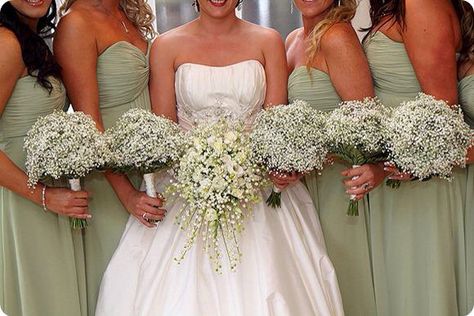 Baby's breath Mrs Hudson, Sage Green Bridesmaid Dress, Green Themed Wedding, Sage Wedding, Sage Green Wedding, Bridesmaids And Groomsmen, Baby's Breath, Green Wedding, Wedding Themes