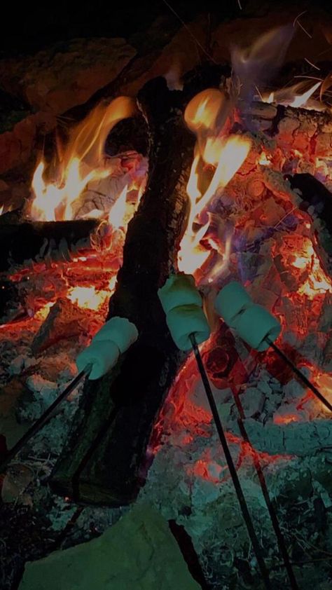 #bonfire #summer #summernights #marshmallow Boomerang Aesthetic, Bonfire And Smores Aesthetic, Marshmallow Fire, Toasting Marshmallows Campfire Aesthetic, Marshmallow Campfire, Bonfire On Beach Aesthetic, Bon Fire, Summer Nights, Marshmallows