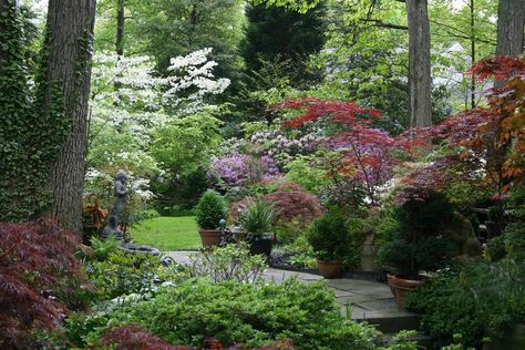 Magical Woodland Garden - Traditional - Landscape - DC Metro - by Merrifield Garden Center | Houzz Sloped Front Yard, Japanese Maple Garden, Japanese Inspired Garden, Diy Garden Trellis, Magical Woodland, Japanese Maples, Backyard Inspiration, Dc Metro, Traditional Landscape