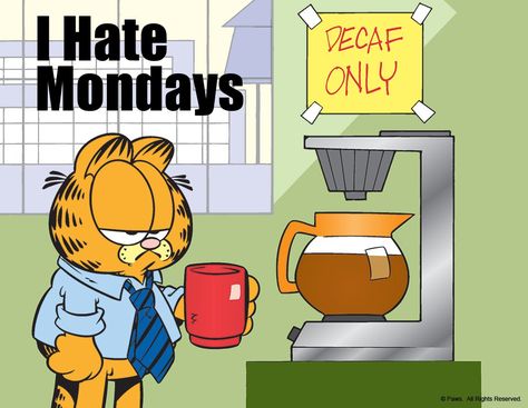 Garfield Monday, Garfield Quotes, Monday Sucks, Garfield Pictures, Garfield Images, Garfield The Cat, Garfield Cartoon, I Hate Mondays, Garfield Cat