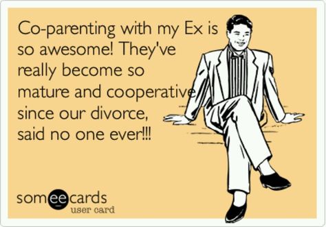 Coparenting ex---thankful I never was stupid enough to marry him. Parental Alienation, Divorce Humor, Divorce Quotes, Blended Family, Family Humor, Memes Humor, Co Parenting, E Card, Ecards Funny